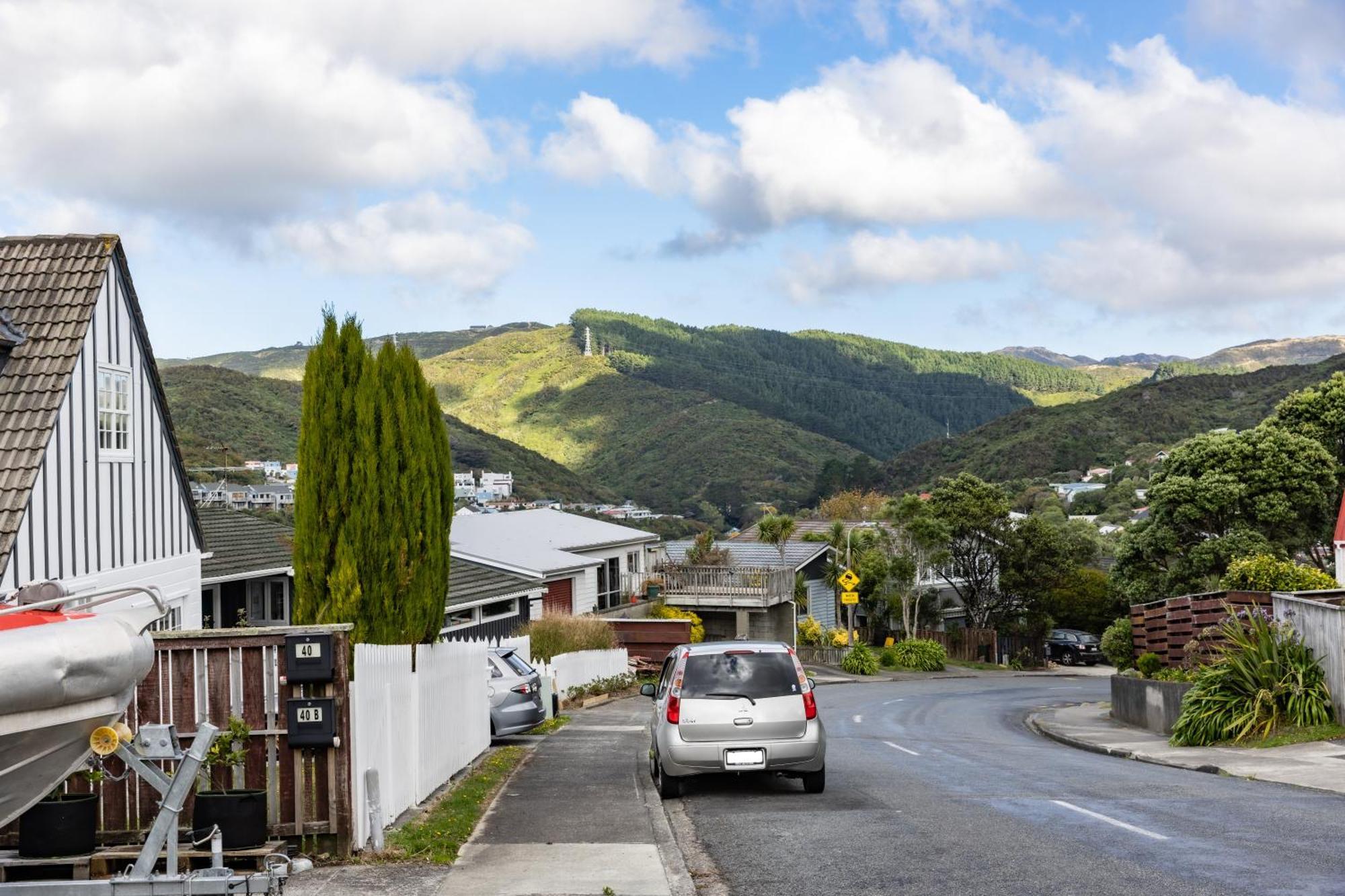 Back Garden Flat With Free On Street Parking And Fiber Wifi - 15 Mins To Ferry, Stadium, Cbd Wellington Exteriér fotografie