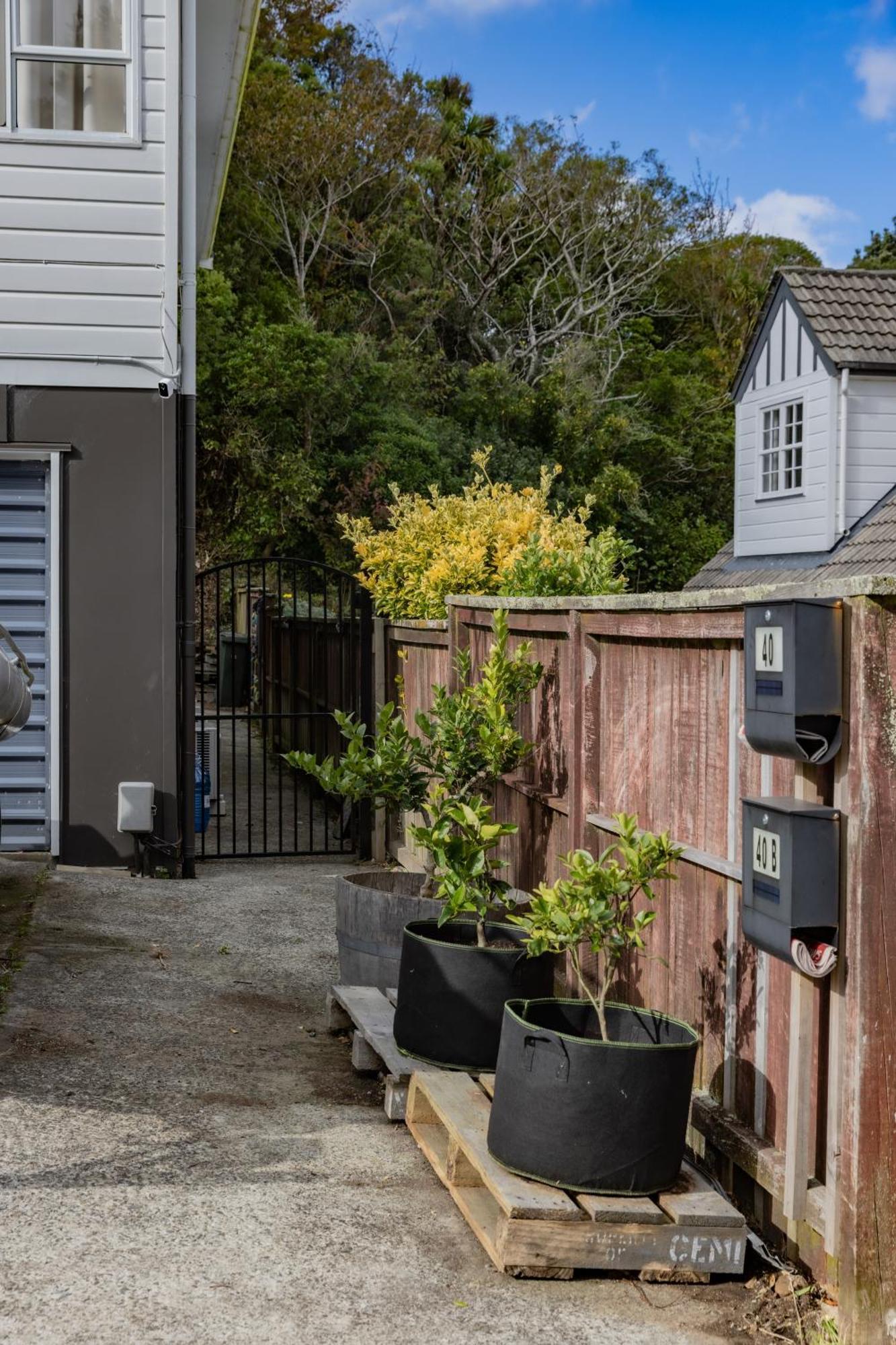Back Garden Flat With Free On Street Parking And Fiber Wifi - 15 Mins To Ferry, Stadium, Cbd Wellington Exteriér fotografie
